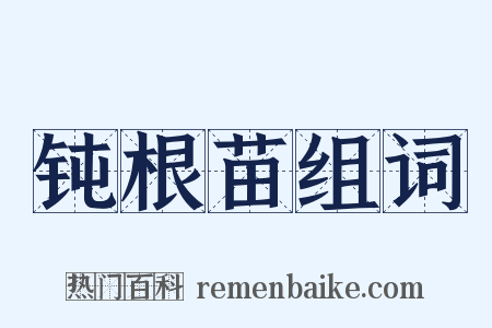 钝根苗组词是什么意思的图片